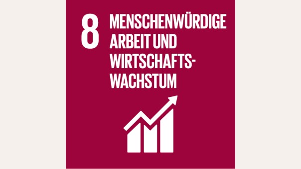 SDG 8