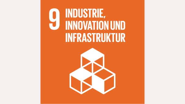 SDG 9