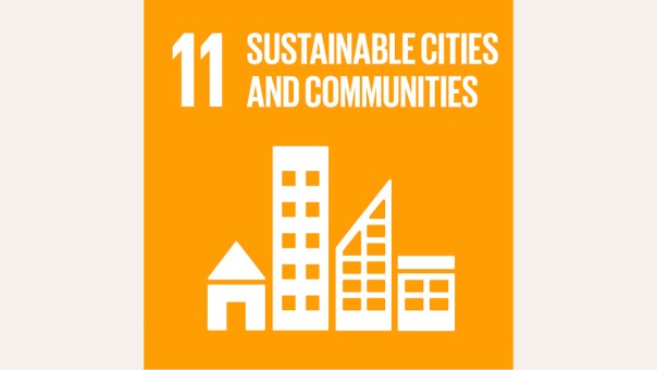 SDG 11