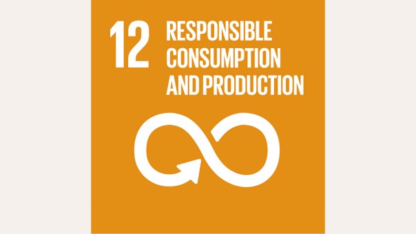 SDG 12