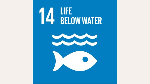 SDG 14