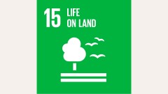 SDG 15