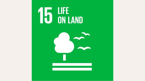 SDG 15