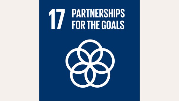 SDG 17