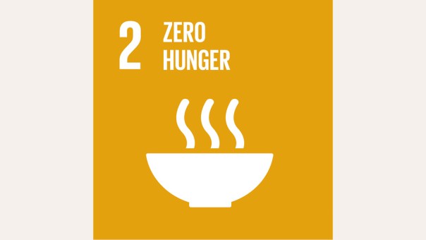 SDG 2