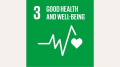 SDG 3