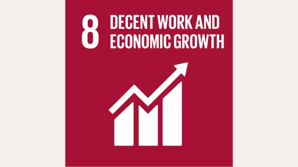 SDG 8