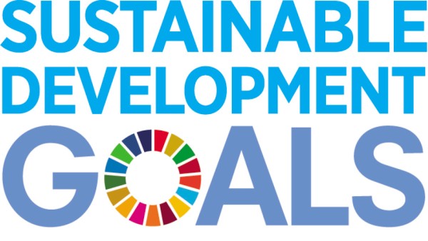 SDG logo