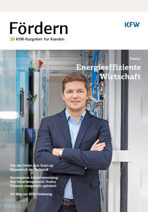 The Cover of Fördern Energieeffiziente Wirtschaft
