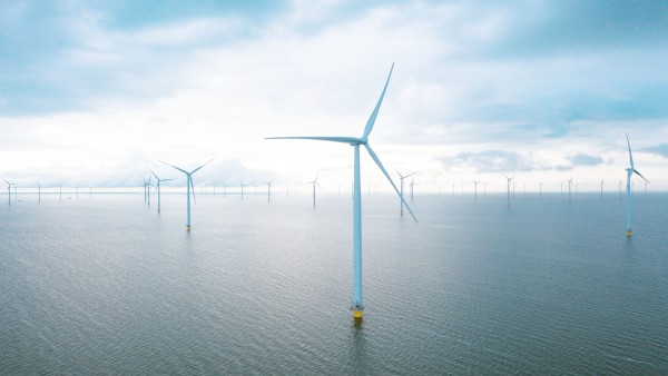 Offshore wind farm