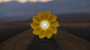 Little Sun solar lamp