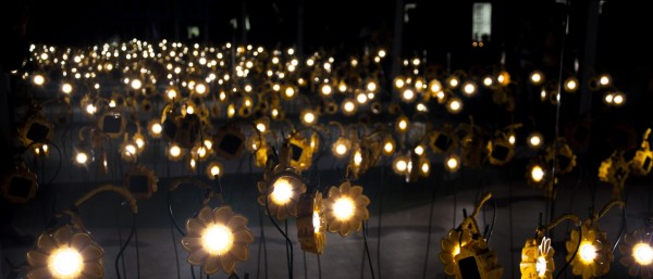 Many Little Sun solar lamps in the dark