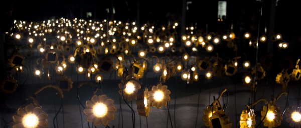 Many Little Sun solar lamps in the dark