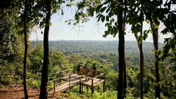 A group of ICMBio employees stands on a bridge and looks out over Brazil's national forest.