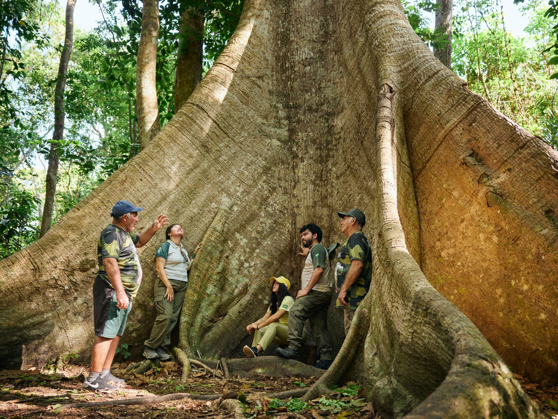 A group od ICMBio employees are photographed next to a hugh tree in the rainforest