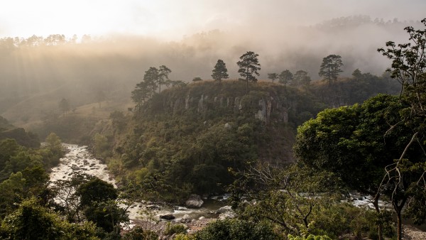 Symbolbild Green Bonds Emisionen: üppiger und grüner Wald in Honduras