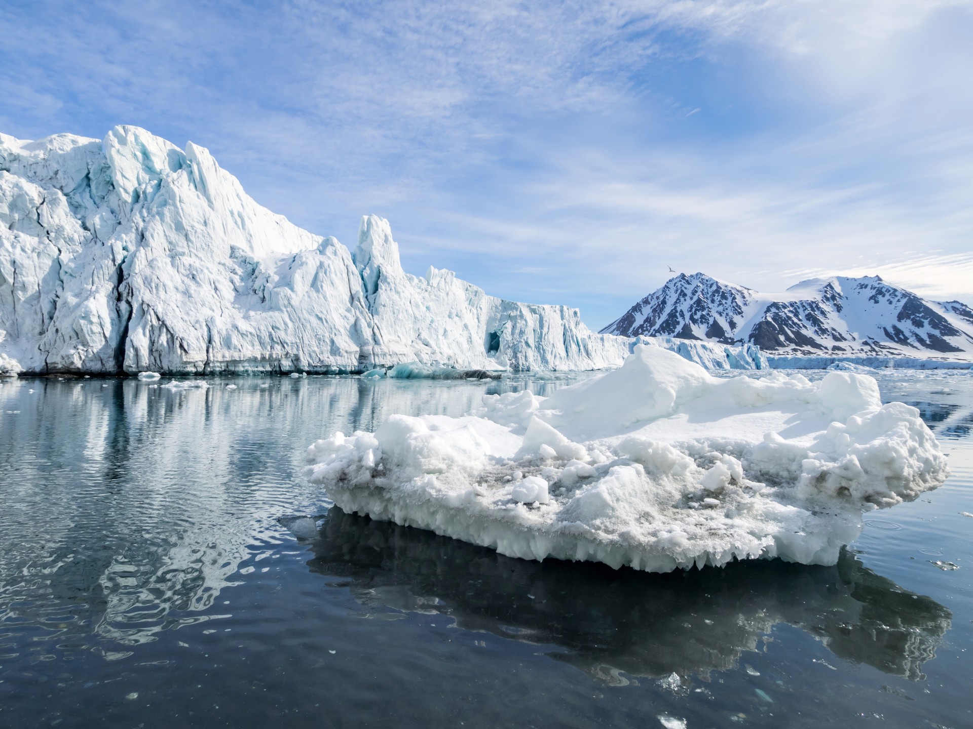 Icebergs in the arctic