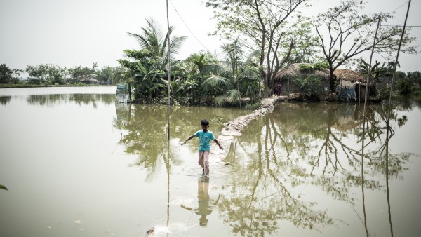 A little boy is crossing flooded grounds in Bangladesh