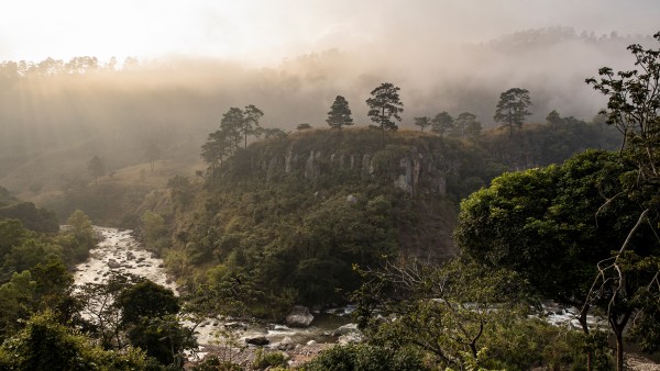 Symbolbild Green Bonds Emisionen: üppiger und grüner Wald in Honduras