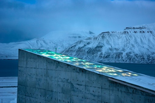 seed bank Norway - art on the roof