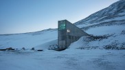 seed bank in Norway