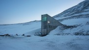 seed bank in Norway