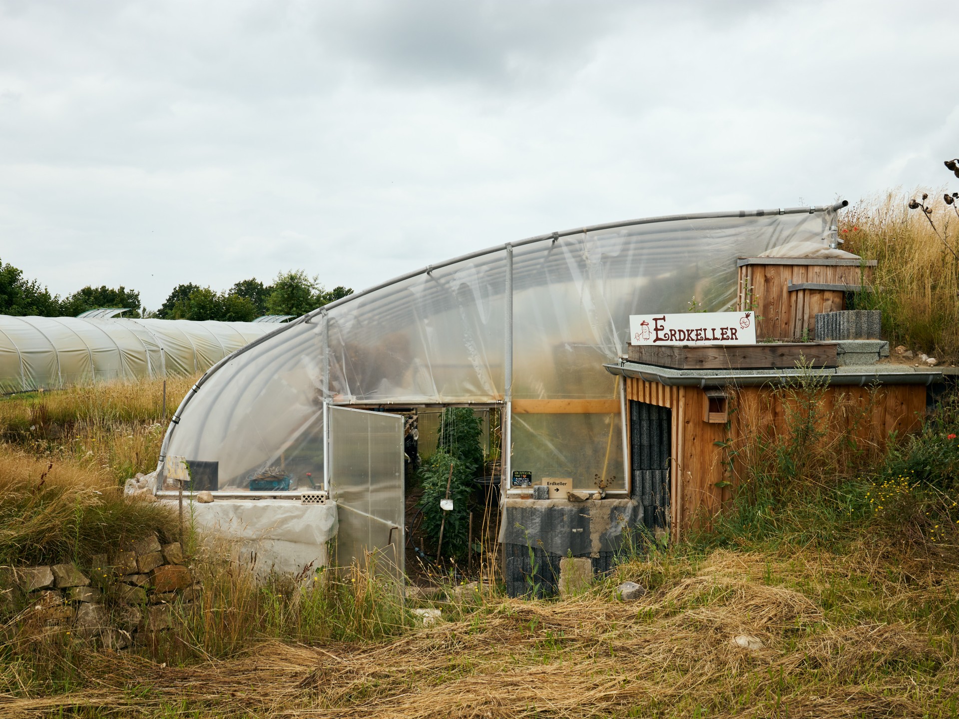 Greenhouse