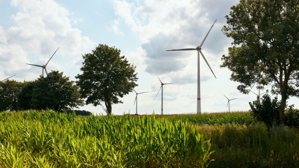 Wind turbines in the fields