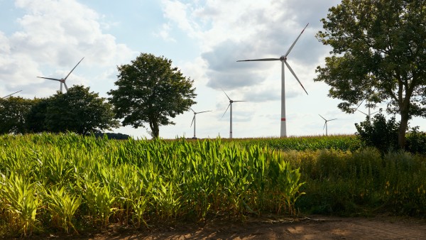 Windräder im Feld