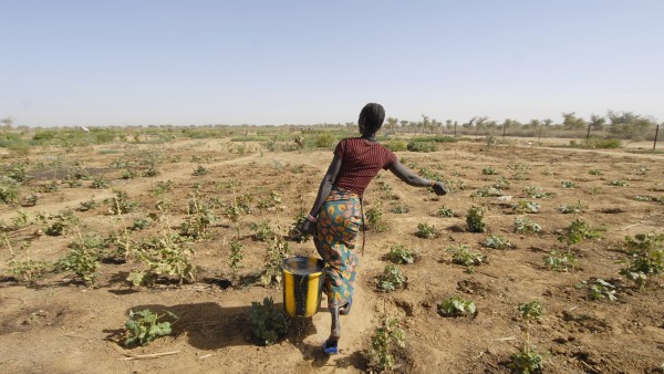 Dürre in Afrika