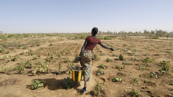 Dürre in Afrika