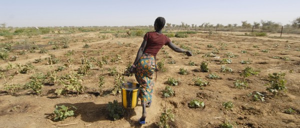 Frau wässert das trockene Feld in Afrika