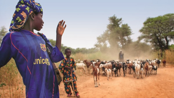 Dürre in Afrika