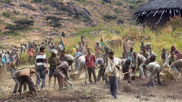 Terrassierung von Agrarflächen in Äthiopien