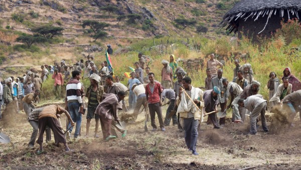Terrassierung von Agrarflächen in Äthiopien