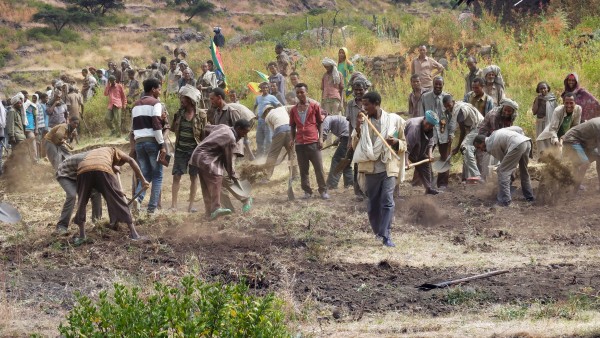 Banking of agricultural land in Ethiopia