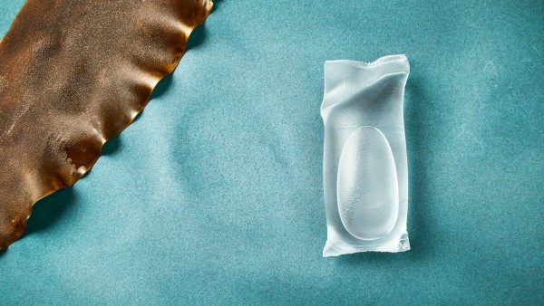 Eine Alge liegt neben einer notpla Verpackung