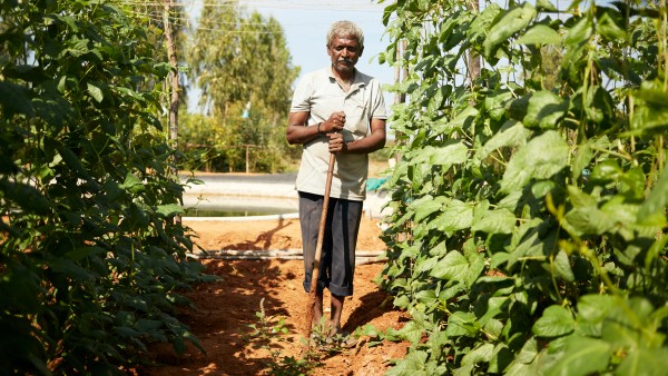 organic farmer india