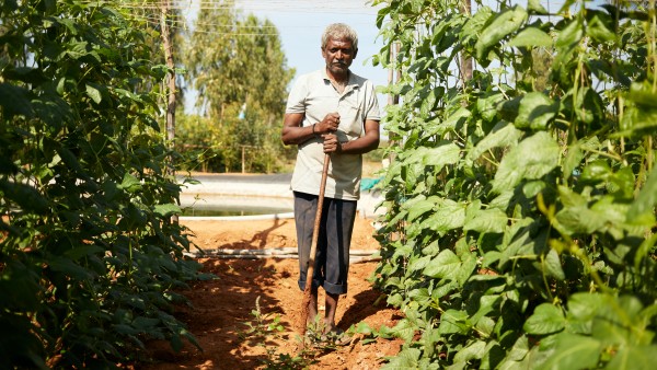 organic farmer india