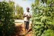organic farmer india