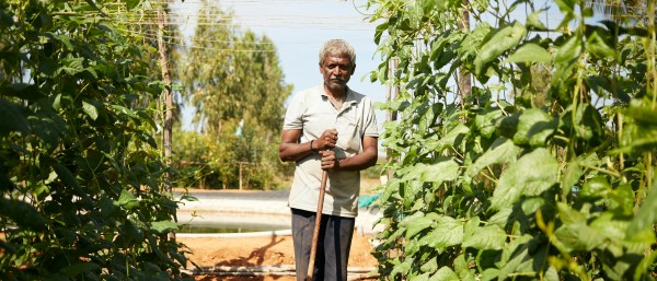 organic farmer india