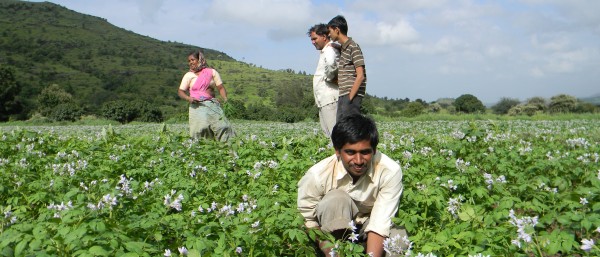 Dorfbewohner stehen mitten in einem blühenden, grünen Acker
