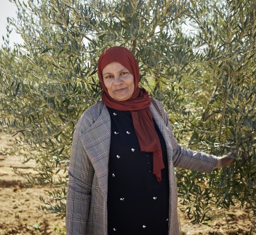 Olivenanbau in der Nähe des Staudamm Sidi Saad. Najoua Dhafloai (Bäuerin und Repräsentantin von Harissa)