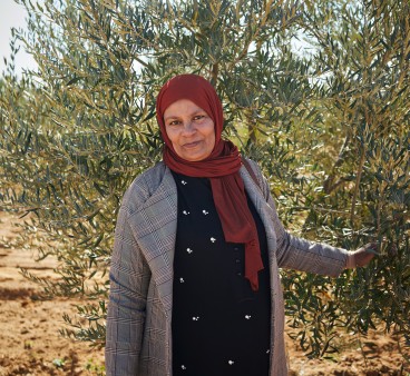 Olivenanbau in der Nähe des Staudamm Sidi Saad. Najoua Dhafloai (Bäuerin und Repräsentantin von Harissa)