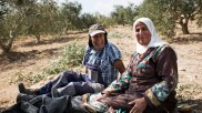 Palestinian olive farmers Khaled Mkheimer and his wife Sana Mkheimer. The couple lived in Stuttgart for many decades. 