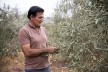 Olive farmer Mohamad Atari 