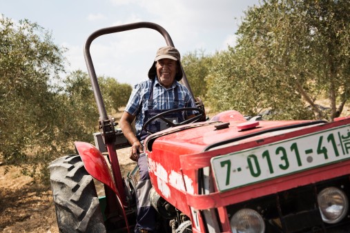 Palestinian olive farmers Khaled Mkheimer 