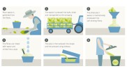 Illustration of the production process of Bio-Lutions