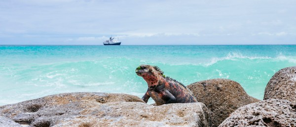 Galapagos 