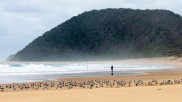 Isimangaliso Wetland Park